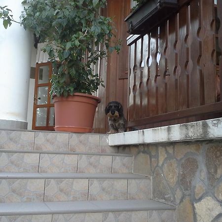 Agneslaki Okoturisztikai Centrum Es Vadaszhaz Нагиканиша Екстериор снимка